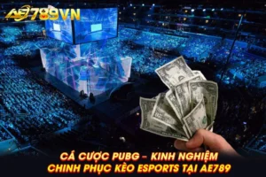 Cá cược PUBG – Kinh nghiệm chinh phục kèo Esports tại AE789