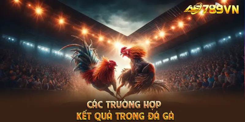 Các trường hợp kết quả trong đá gà