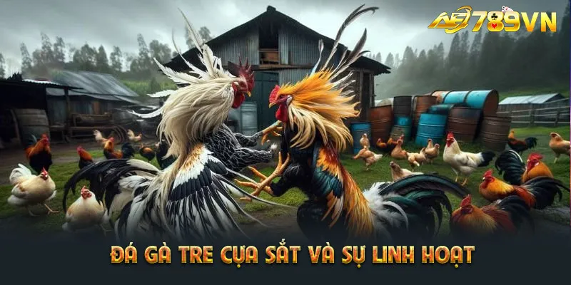 Đá gà tre cựa sắt và sự linh hoạt