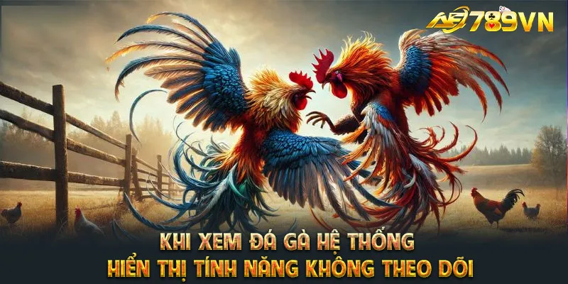 Khi xem đá gà hệ thống hiển thị tính năng không theo dõi