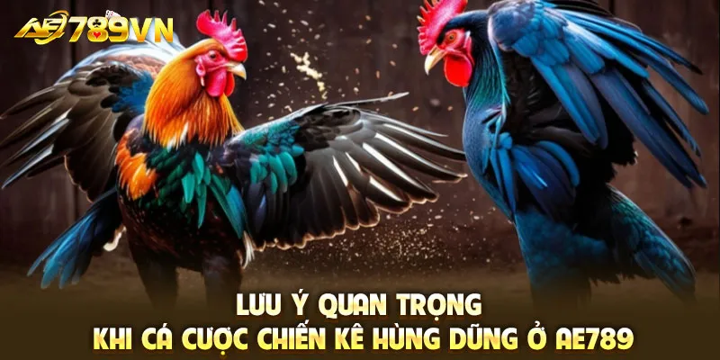 Lưu ý quan trọng khi cá cược chiến kê hùng dũng ở AE789