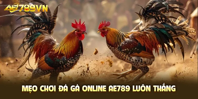 Mẹo chơi đá gà online AE789 luôn thắng