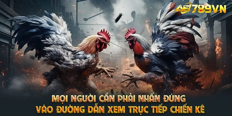 Mọi người cần phải nhấn đúng vào đường dẫn xem trực tiếp chiến kê