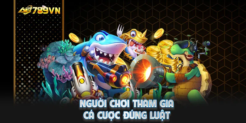 Người chơi tham gia cá cược đúng luật