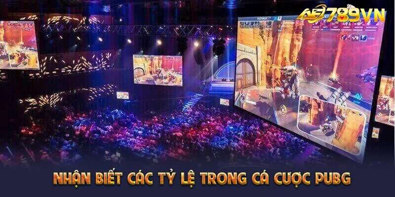 Nhận biết các tỷ lệ trong cá cược PUBG