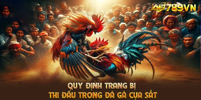 Quy định trang bị thi đấu trong đá gà cựa sắt