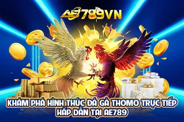 Khám phá hình thức đá gà Thomo trực tiếp hấp dẫn tại AE789